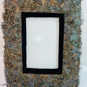 D. Rhein Black and Cream Decorative Frame PHEASANT FEATHERS D.L.L RHEIN 5" X 7"